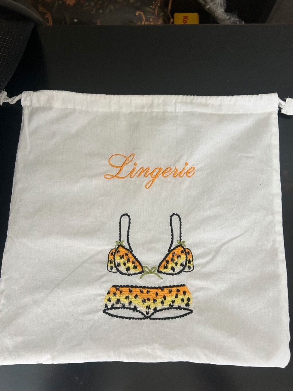 Lily Juliet Lingerie Leopard-Print Bra and Underwear Travel Bag. NWOT